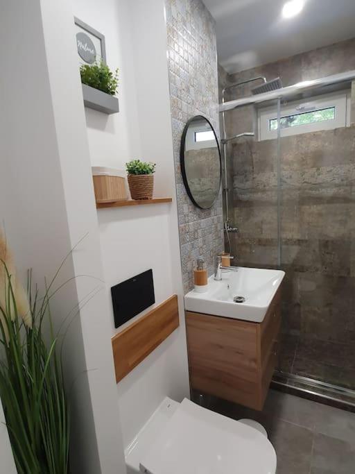 Apartament Ama سيبيو المظهر الخارجي الصورة